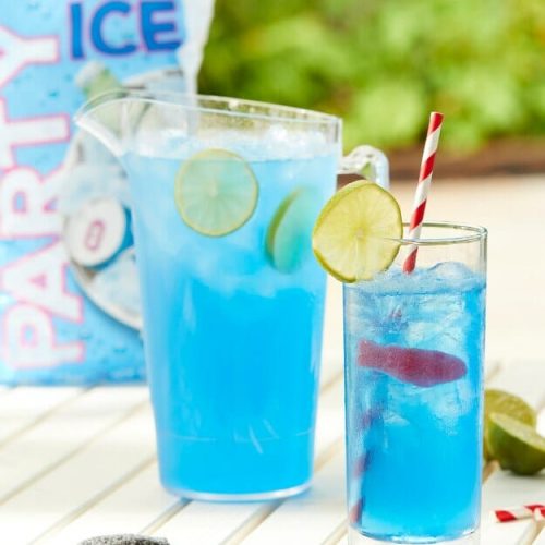 https://theiceco.co.uk/wp-content/uploads/2022/05/Gummy-fish-kids-cocktail-jug-recipe-500x500.jpg