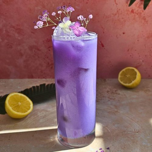 violet gin fizz cocktail in a long collins glass with edible flowers