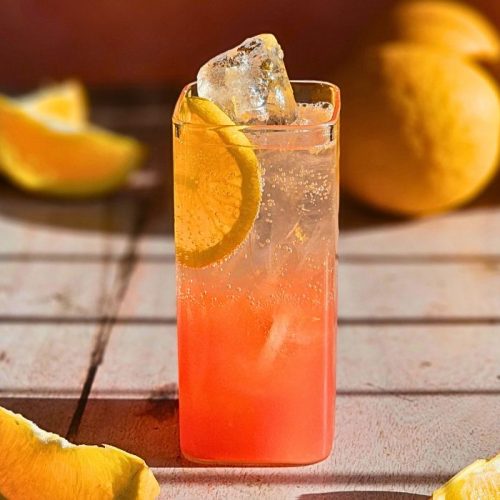 bicycle thief cocktail in a tall glass with an orange slice and fresh citrus fruit