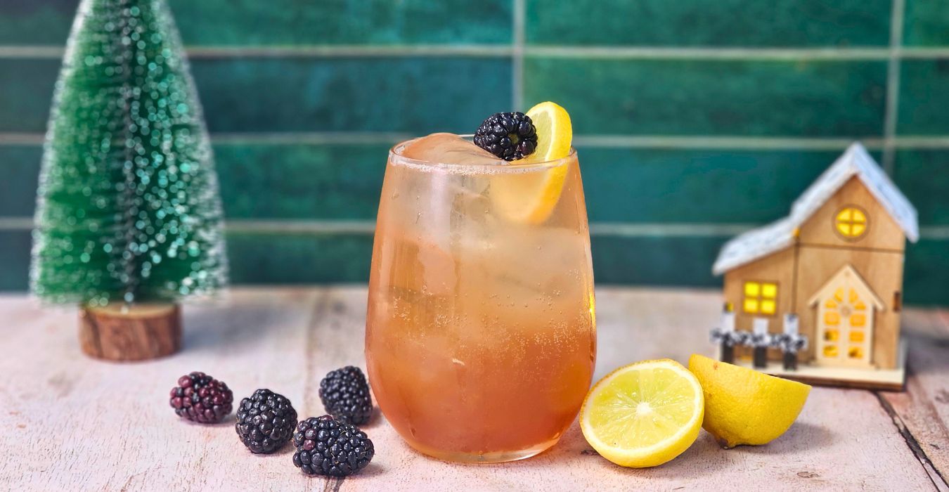 sloe gin fizz cocktail recipe