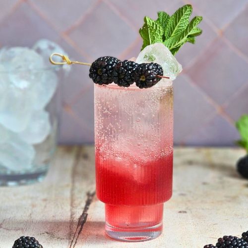 Bramble Fizz cocktail recipe by the ice co
