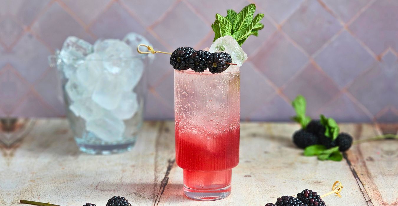 Bramble Fizz cocktail recipe by the ice co